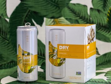 Ginger DRY Sparkling Soda Cans